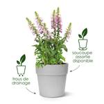 vibia straight 47cm vert pistache